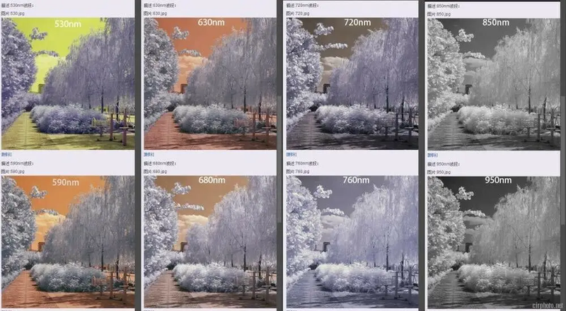 Customized Product for Nikon D3 D3S D3X CCD CMOS Image Sensor Infrared IR Filter
