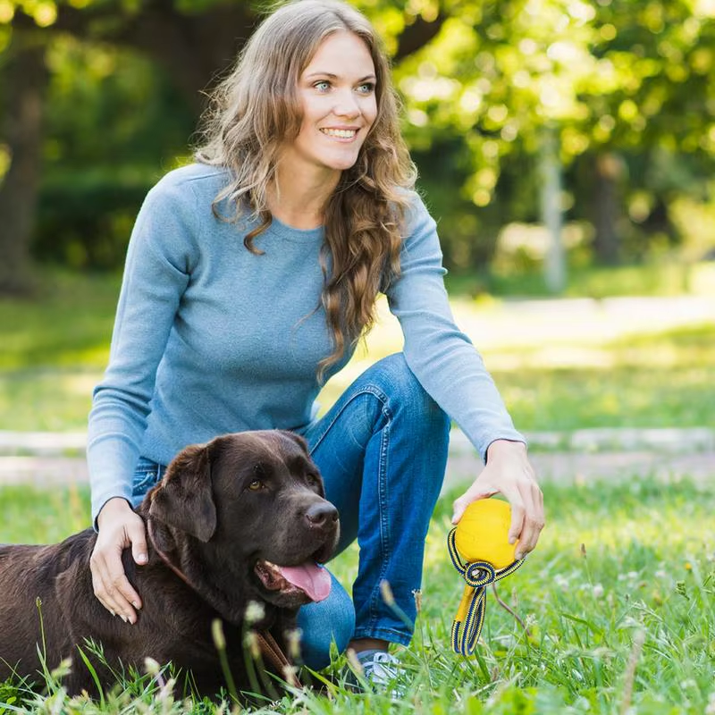 Dog Jolly Ball Indestructible Chewing Training Ball with Handle Interactive Pupp
