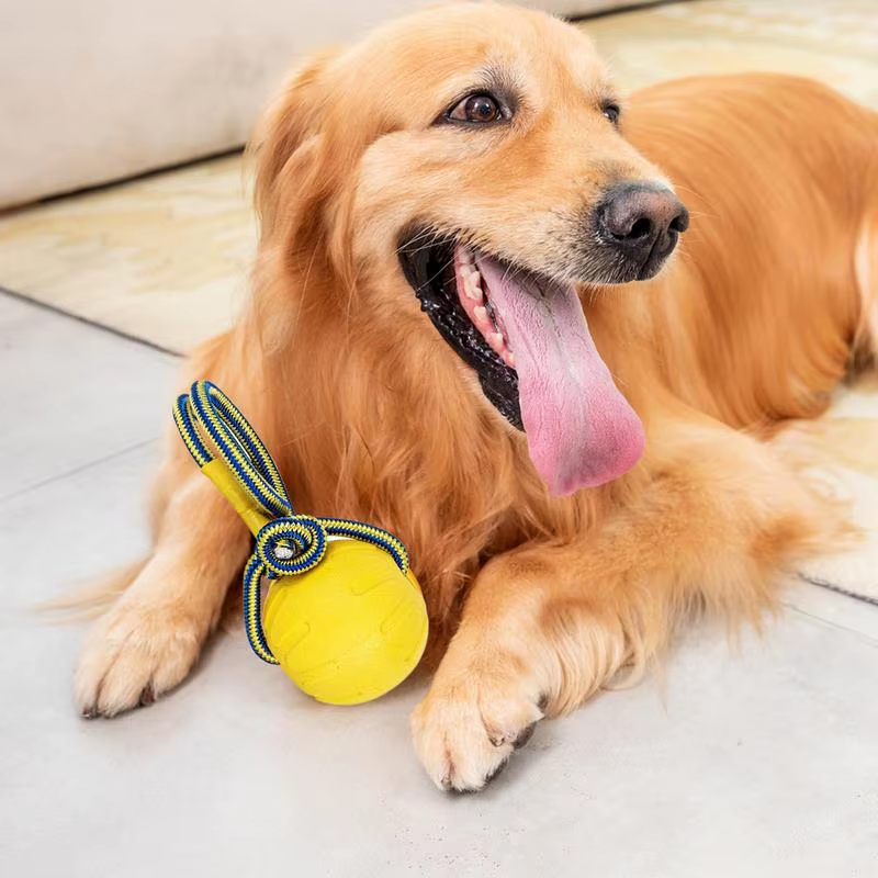 Dog Jolly Ball Indestructible Chewing Training Ball with Handle Interactive Pupp