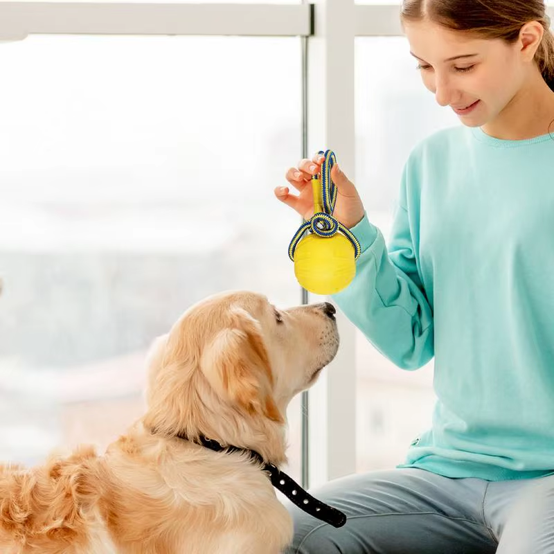 Dog Jolly Ball Indestructible Chewing Training Ball with Handle Interactive Pupp