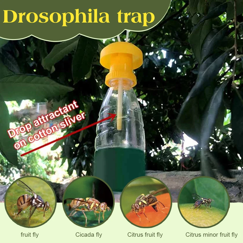 20Pcs Fruit Fly Attractor with Fly Attractant Liquid Pest Insect Catcher Reusabl