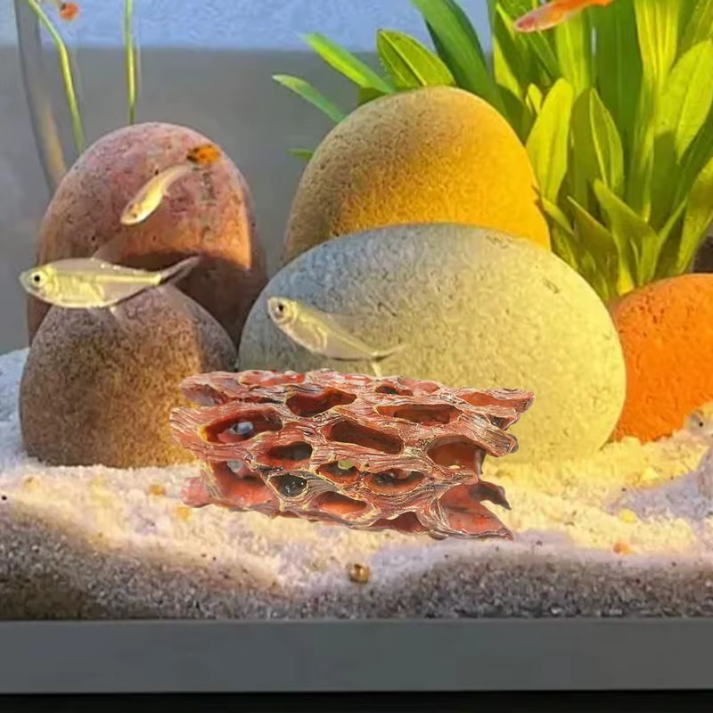 Shrimp Hides for Aquarium Stable Shrimp Cave Aquarium Tunnel Irregular Shape Dec