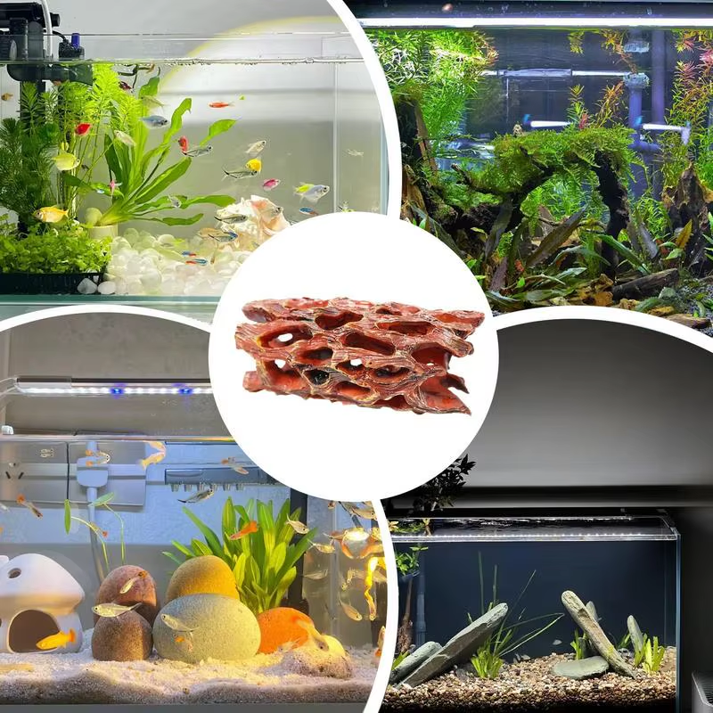 Shrimp Hides for Aquarium Stable Shrimp Cave Aquarium Tunnel Irregular Shape Dec
