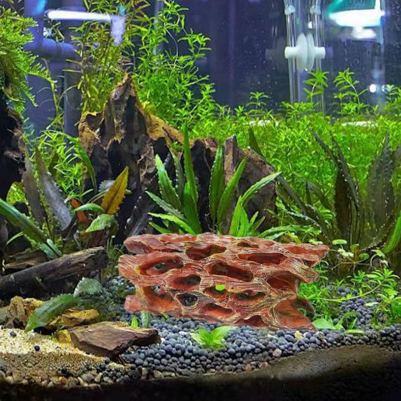 Shrimp Hides for Aquarium Stable Shrimp Cave Aquarium Tunnel Irregular Shape Dec