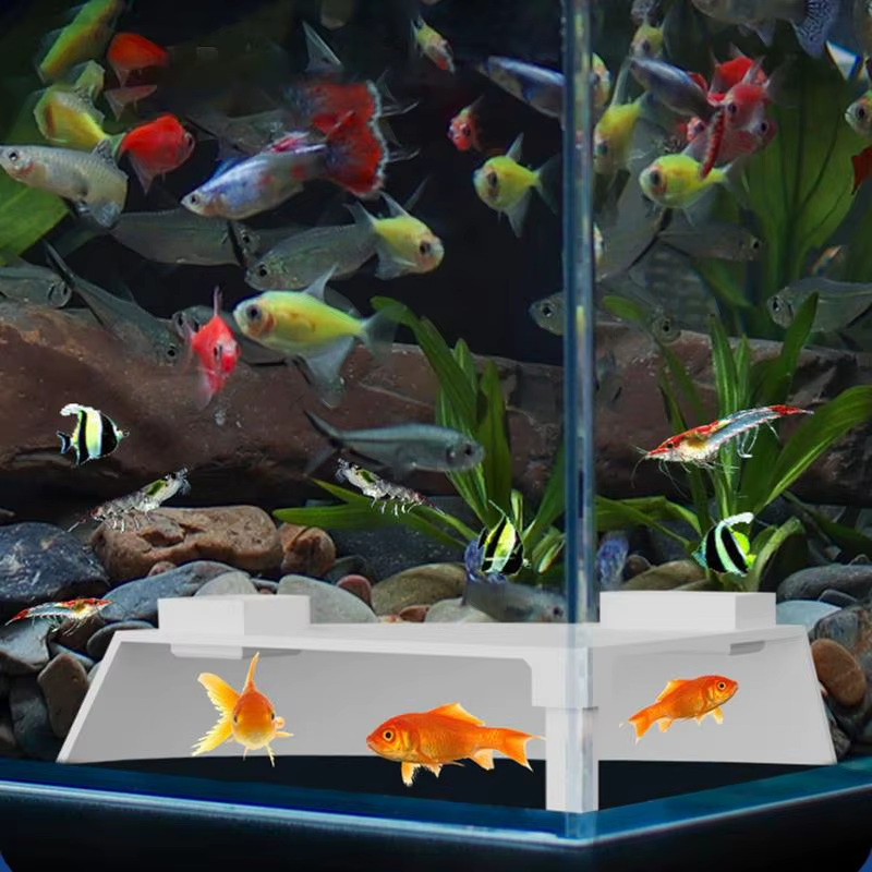 Aquarium Hide Aquarium Fish Shelter Spacious Removable Corner Underground Cave f