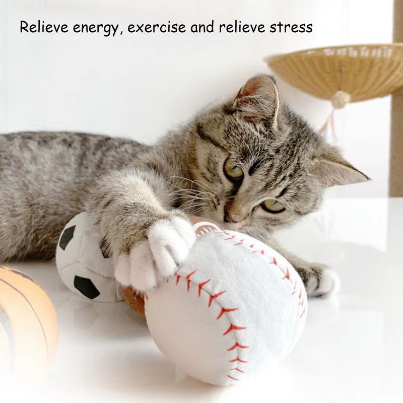 Interactive Cat Ball Toy Funny Kitten Teeth Cleaning Toys Colorful Pet Portable