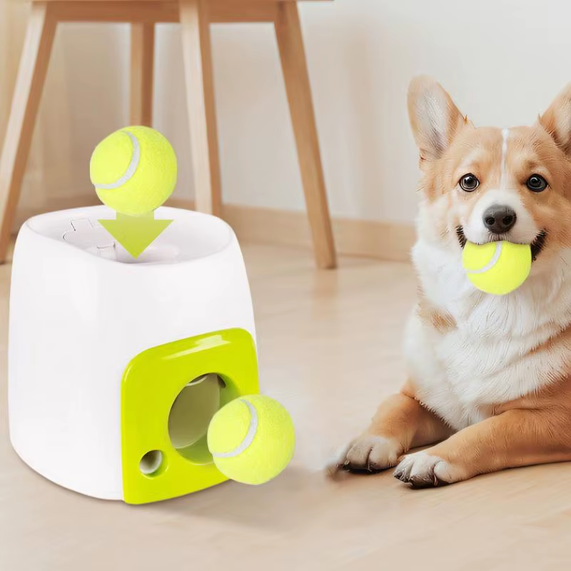 Automatic Dog Ball Launch Ball Thrower for Small Dogs Interactive Toys Training
