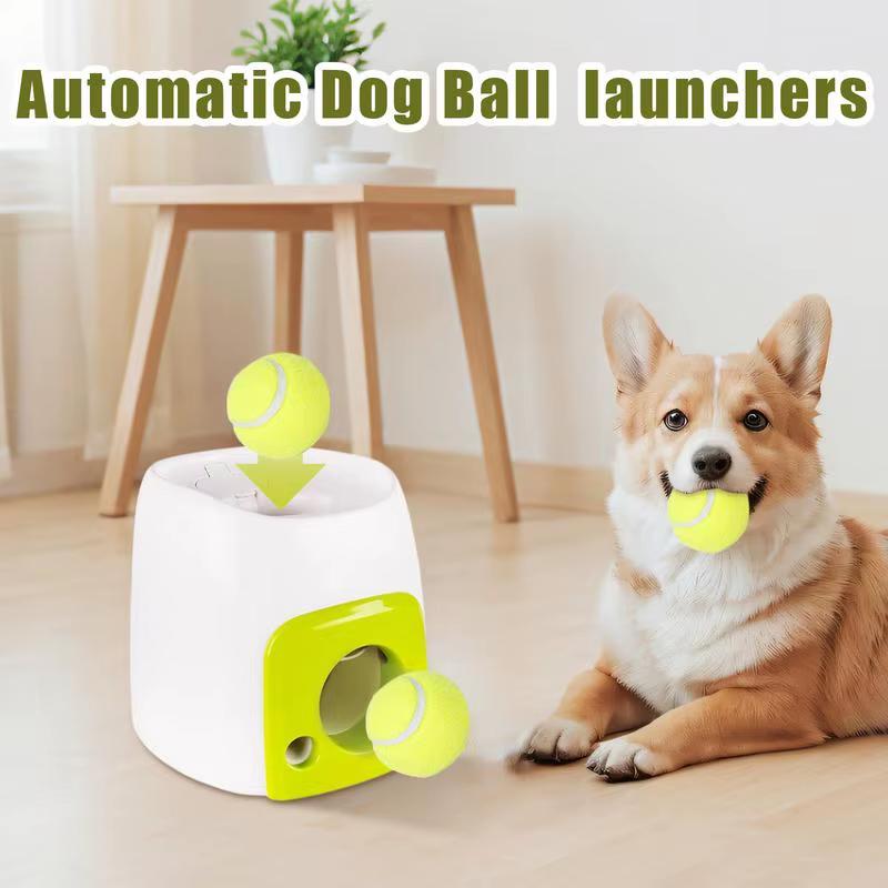 Automatic Dog Ball Launch Ball Thrower for Small Dogs Interactive Toys Training