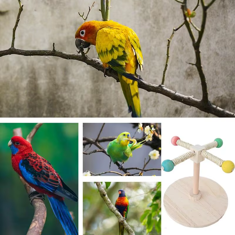 Bird Perch Toy Bird Cage Perch Stand Rotating Interactive Foraging Wooden Chewer
