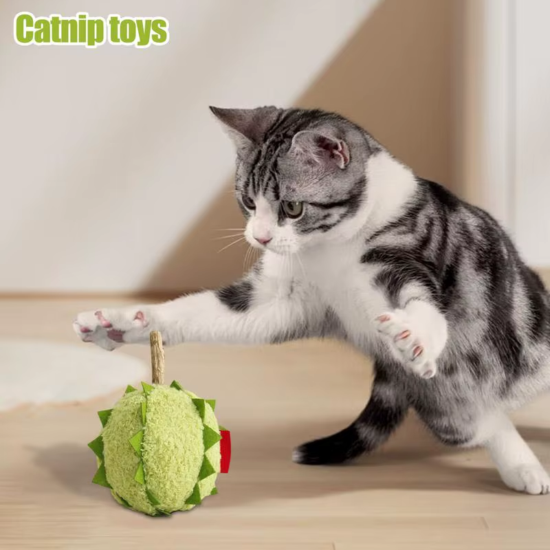 Catnip Toys Soft Plush Interactive Kitten Bite Toy Soft Stuffed Interactive Kitt