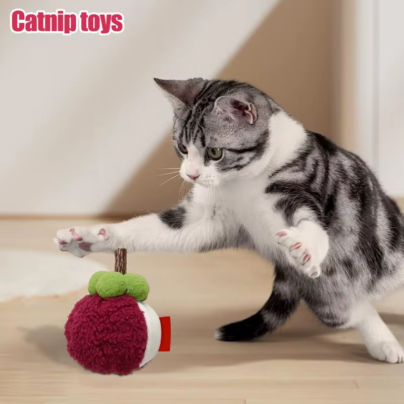 Catnip Toys Soft Plush Interactive Kitten Bite Toy Soft Stuffed Interactive Kitt