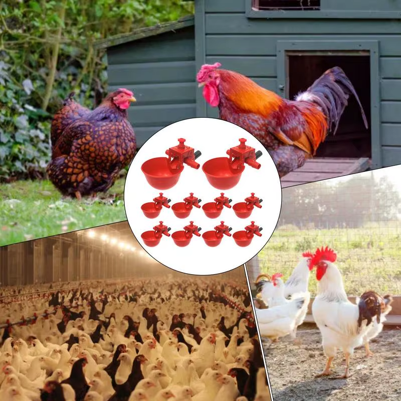 Chicken Watering Cups 10 Pieces Poultry Drinking Cups Adjustable Drinker and Foo