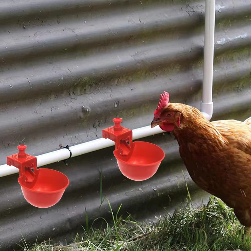 Chicken Watering Cups 10 Pieces Poultry Drinking Cups Adjustable Drinker and Foo