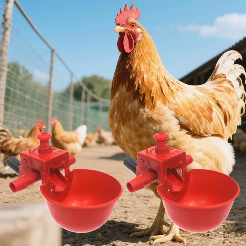Chicken Watering Cups 10 Pieces Poultry Drinking Cups Adjustable Drinker and Foo
