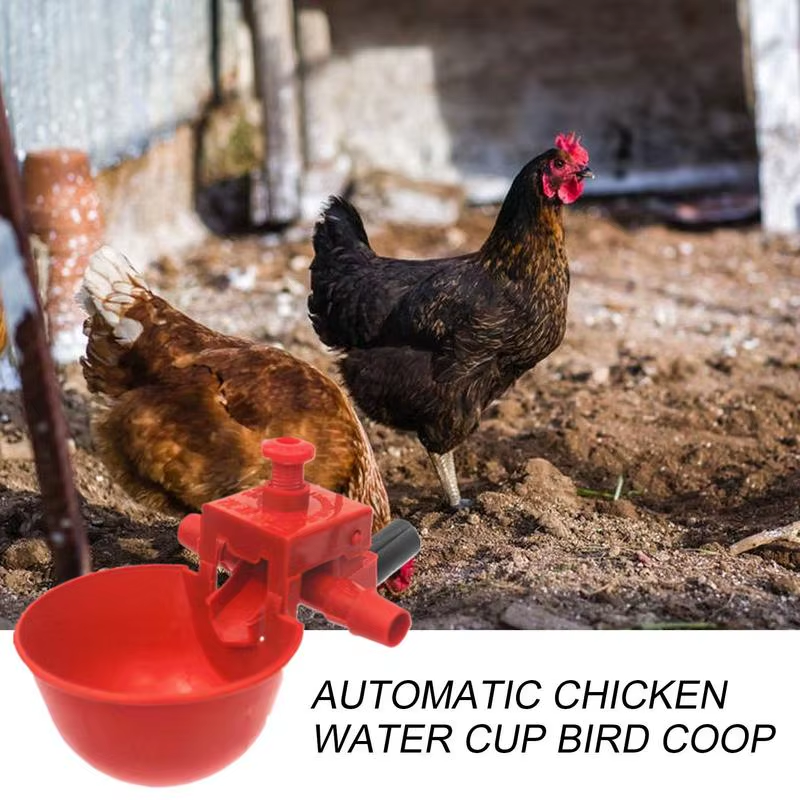 Chicken Watering Cups 10 Pieces Poultry Drinking Cups Adjustable Drinker and Foo