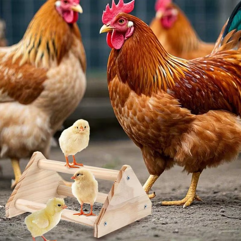Chicken Perch for Coop Wooden Chicken Training Perch Resting Toy with Smooth Sur
