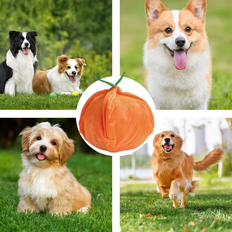 Dog Sniffing Mat Peel and Orange Snuffle Toy Plush Interactive Squeaky Feeder Pu