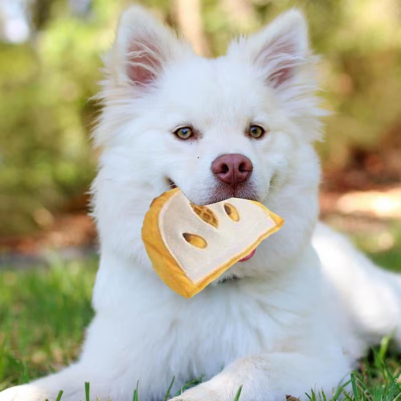 Dog Sniffing Mat Peel and Orange Snuffle Toy Plush Interactive Squeaky Feeder Pu