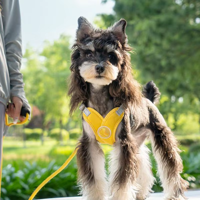 No Pull Dog Harness Nylon Dog Harnesses with Leashes Adjustable Pup Leading Rope