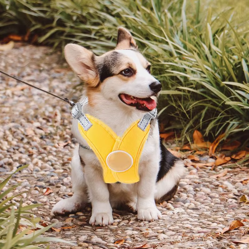 No Pull Dog Harness Nylon Dog Harnesses with Leashes Adjustable Pup Leading Rope