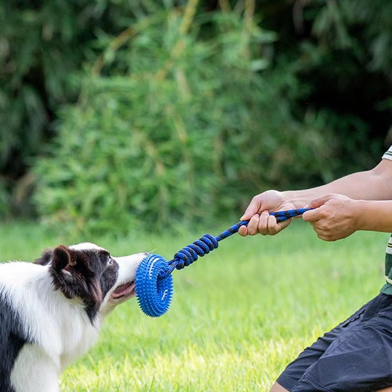 Dog Toy Squeaky Teething Spiky Ring for Puppy Aggressive Chew Indestructible Dog