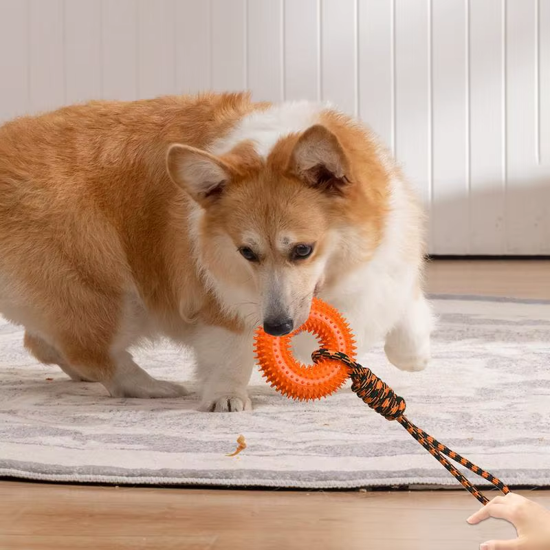 Dog Toy Squeaky Teething Spiky Ring for Puppy Aggressive Chew Indestructible Dog