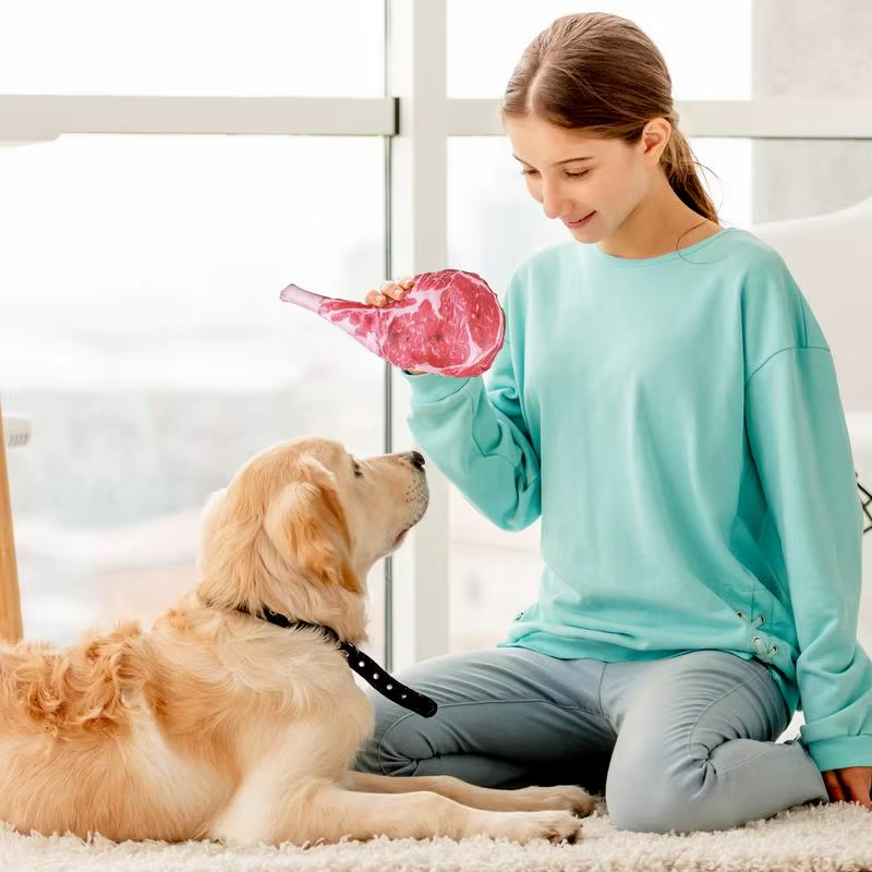 Dog Squeaky Toys Puppy Doll Squeaky with Steak Shape Interactive Pet Tooth Grind