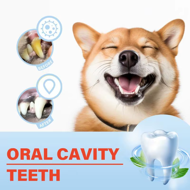 Dog Tooth Brushing Kit Dog Teeth Cleaner Beef Flavor Freshens Breath Tooth Paste