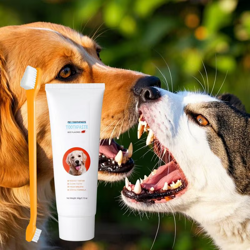 Dog Tooth Brushing Kit Dog Teeth Cleaner Beef Flavor Freshens Breath Tooth Paste