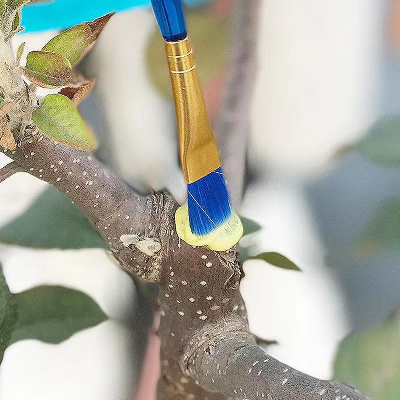 Pruning Sealer Tree Wound Pruning Sealer with Brush Quick Recovery Bonsai Care S