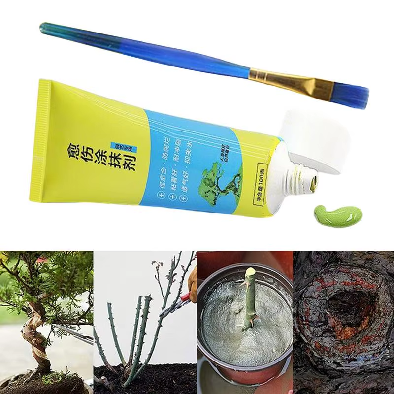Pruning Sealer Tree Wound Pruning Sealer with Brush Quick Recovery Bonsai Care S