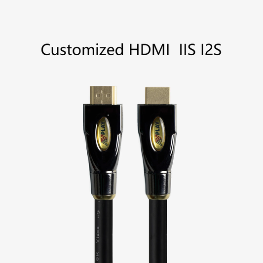 Avplay HD-300 99.99% Silver Customized Hi-End Hifi Audio DAC DDC CD I2S IIS RJ45