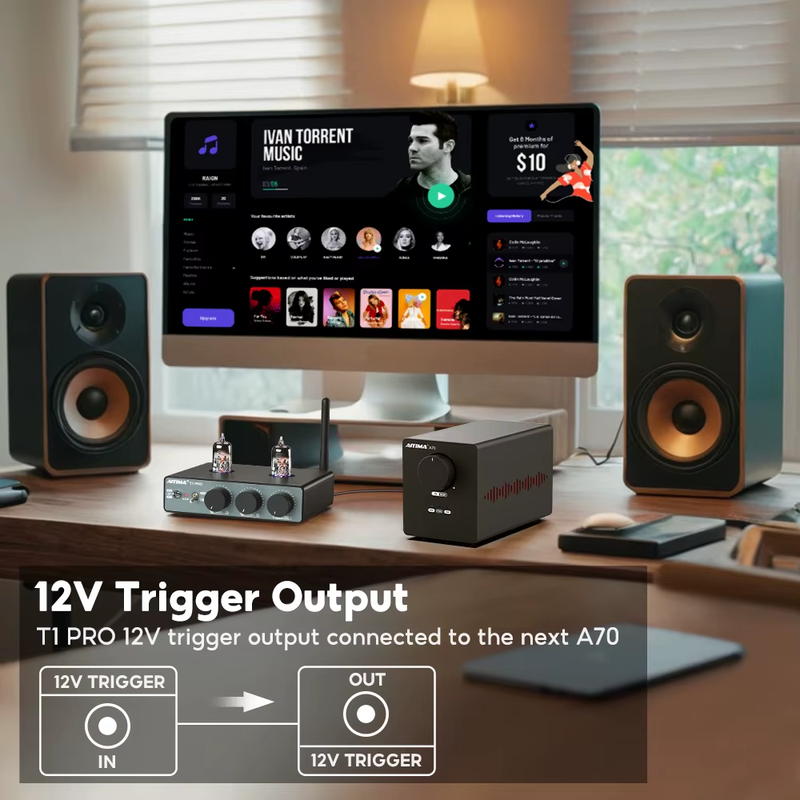 T1 PRO Vacuum Tube Preamplifier Amplifiers Home Audio RCA Bluetooth Input Bass T