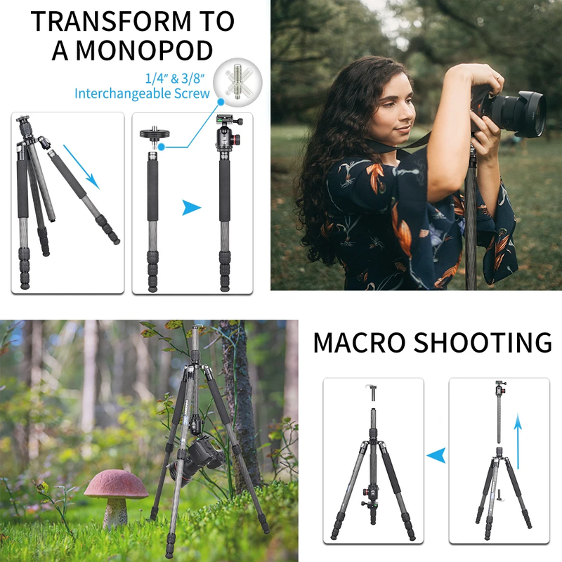RT45C Portable Carbon Fiber Tripod Professional Travel Lightweight Monopod for D