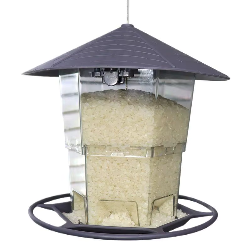 Wild Bird Feeders Automatic Feeding Dish for Parakeets Bird Feeders for outside