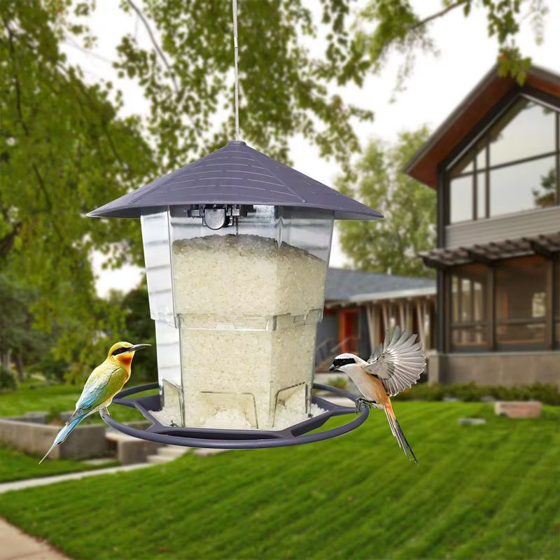 Wild Bird Feeders Automatic Feeding Dish for Parakeets Bird Feeders for outside