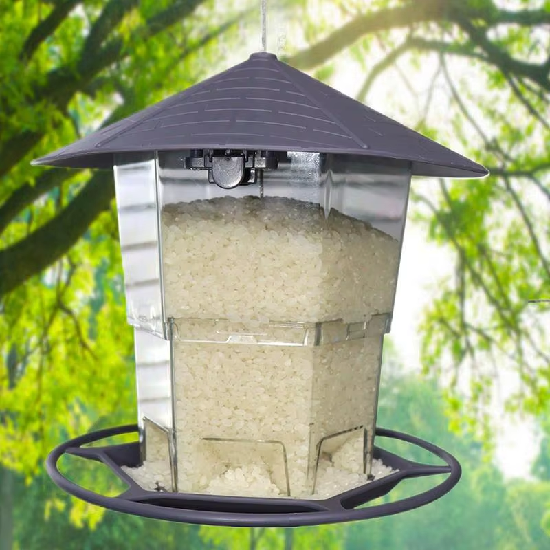 Wild Bird Feeders Automatic Feeding Dish for Parakeets Bird Feeders for outside