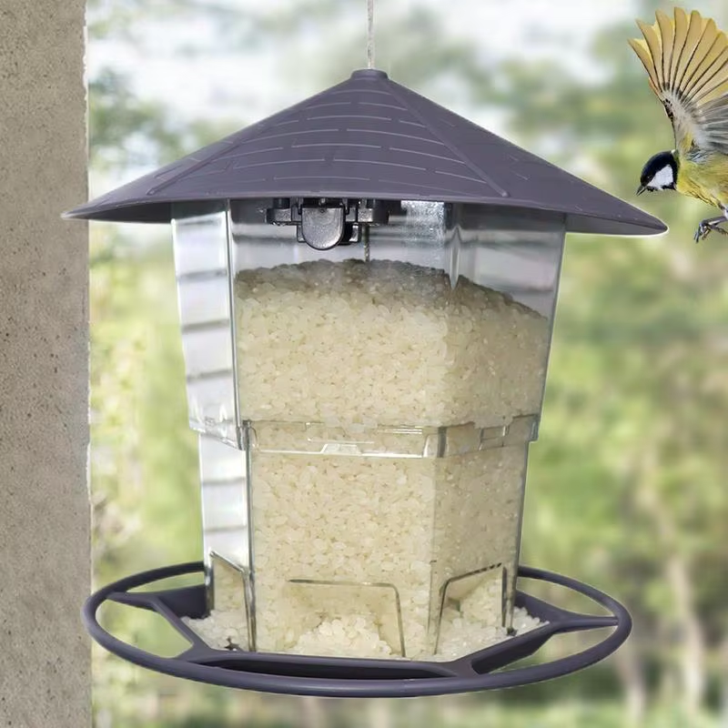 Wild Bird Feeders Automatic Feeding Dish for Parakeets Bird Feeders for outside