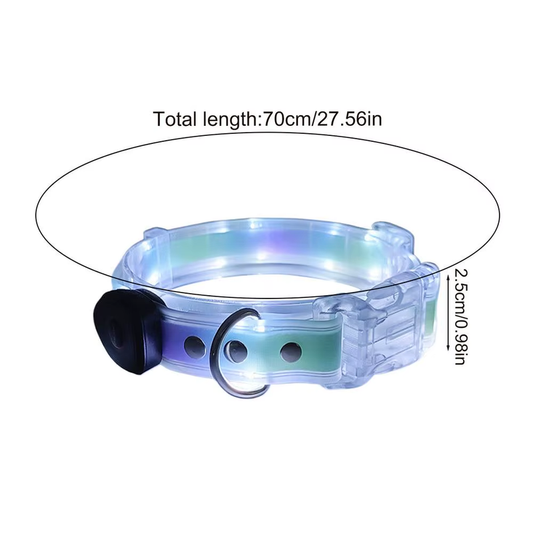 Adjustable Lighted Dog Collar Rechargeable Light up Pet Safety Necklace Glowing