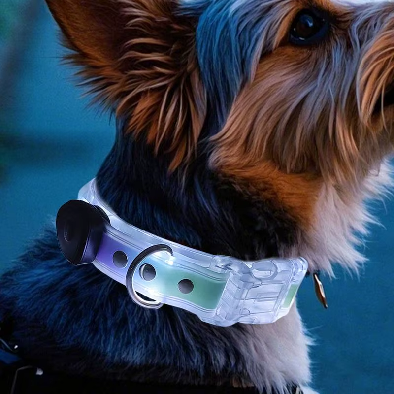 Adjustable Lighted Dog Collar Rechargeable Light up Pet Safety Necklace Glowing