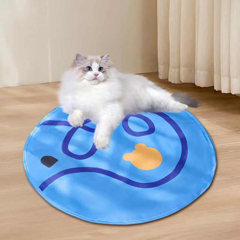 Rolling Cat Ball in Play Mat Lightweight and Portable Play Mat Cat Toy Pet Game