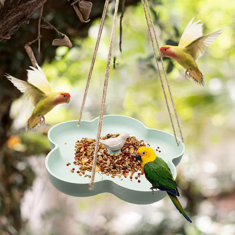 Bird Bath Bowl Large Capacity Eco-Friendly Outdoor Bird Feeder Backyard Birding