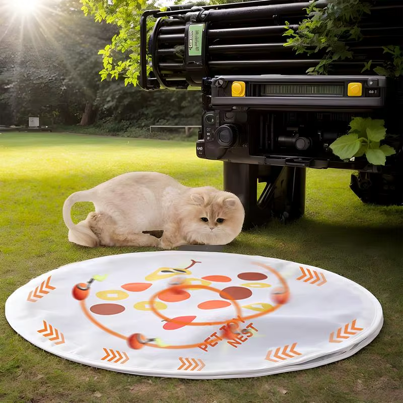 Hunting Toys for Cats Indoor Exercise Cat Toys Foldable Pet Kitten Catching Game