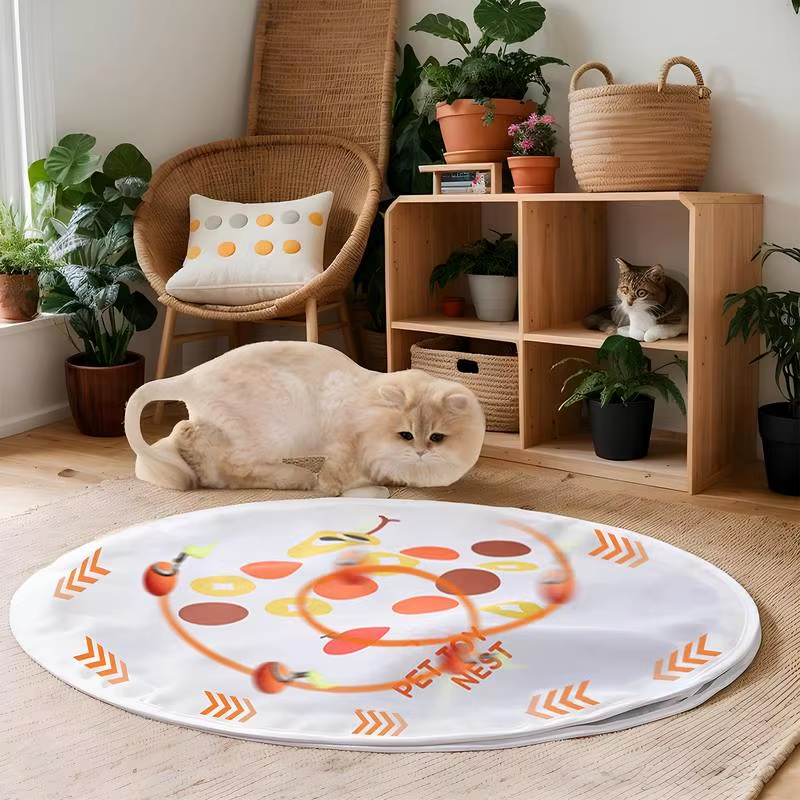 Hunting Toys for Cats Indoor Exercise Cat Toys Foldable Pet Kitten Catching Game