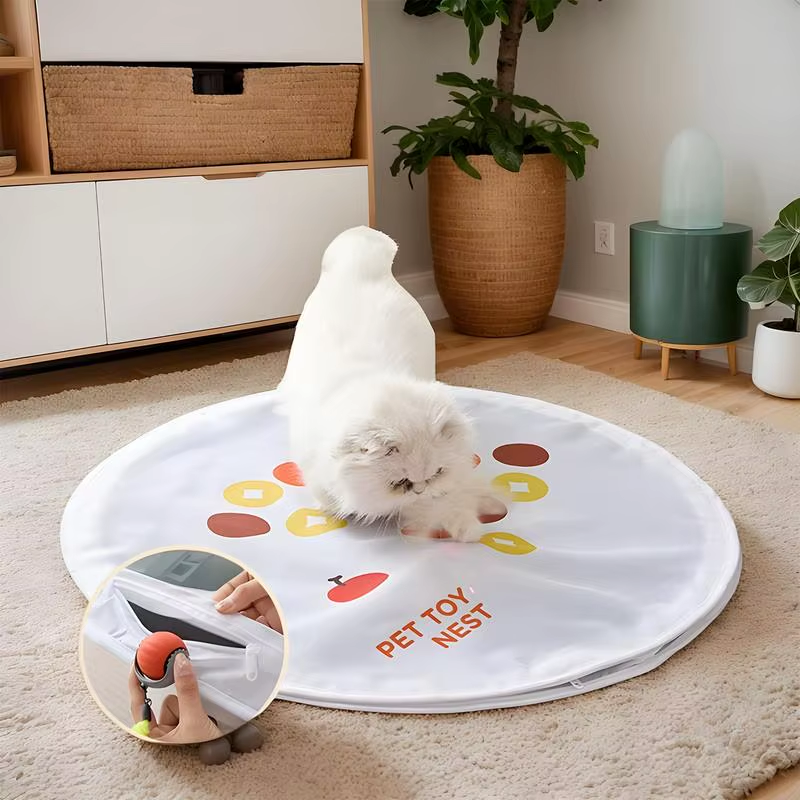 Hunting Toys for Cats Indoor Exercise Cat Toys Foldable Pet Kitten Catching Game