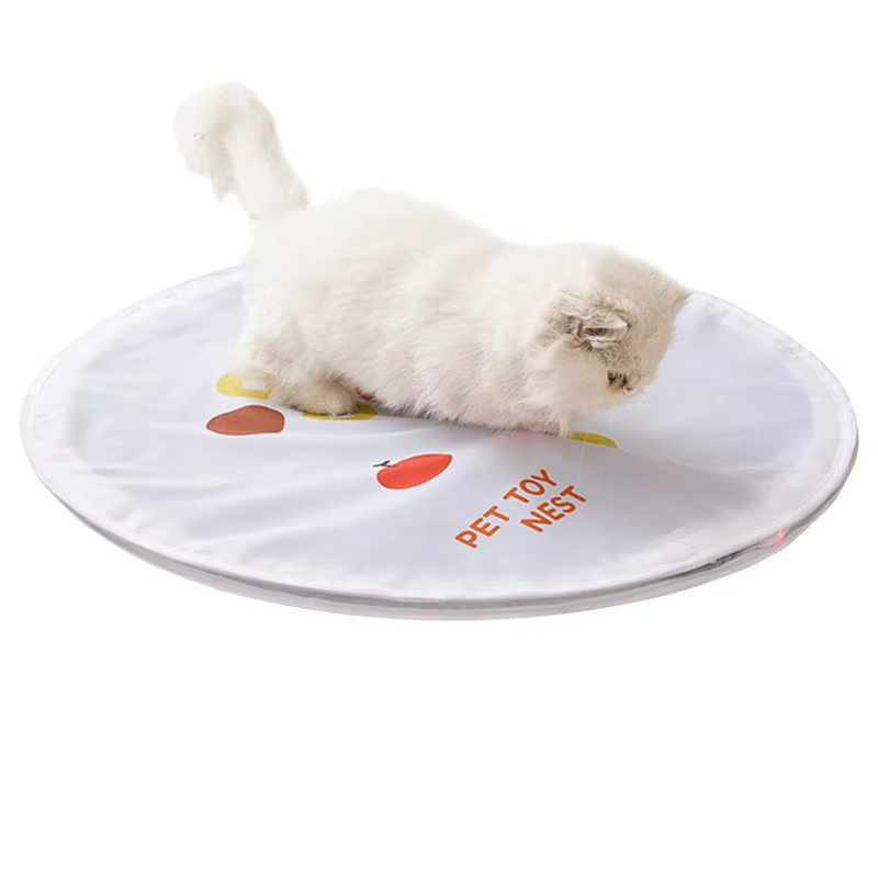 Hunting Toys for Cats Indoor Exercise Cat Toys Foldable Pet Kitten Catching Game