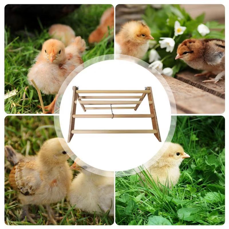 Pet Perch Stand Wood Chicken Standing Toys Interactive Wooden Chick Jungle Gym R