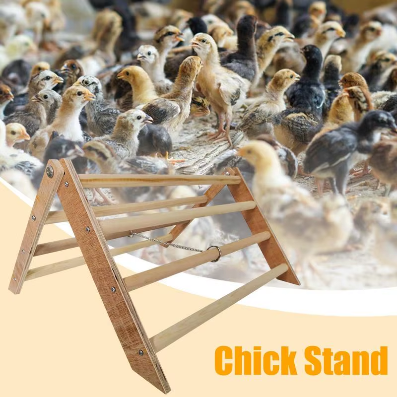 Pet Perch Stand Wood Chicken Standing Toys Interactive Wooden Chick Jungle Gym R