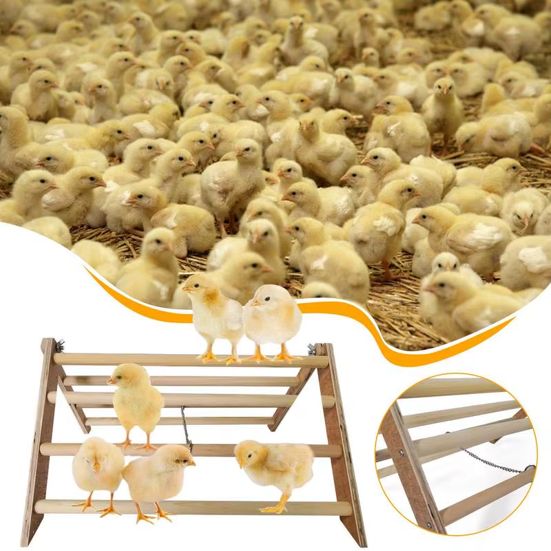 Pet Perch Stand Wood Chicken Standing Toys Interactive Wooden Chick Jungle Gym R