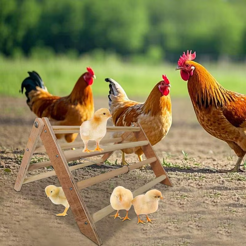 Pet Perch Stand Wood Chicken Standing Toys Interactive Wooden Chick Jungle Gym R